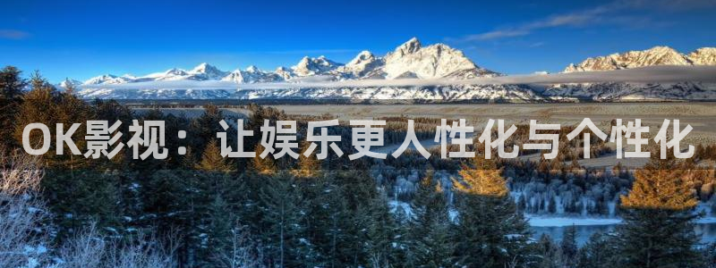 午夜宅男视频在线：OK影视：让娱乐更人性化与个性化