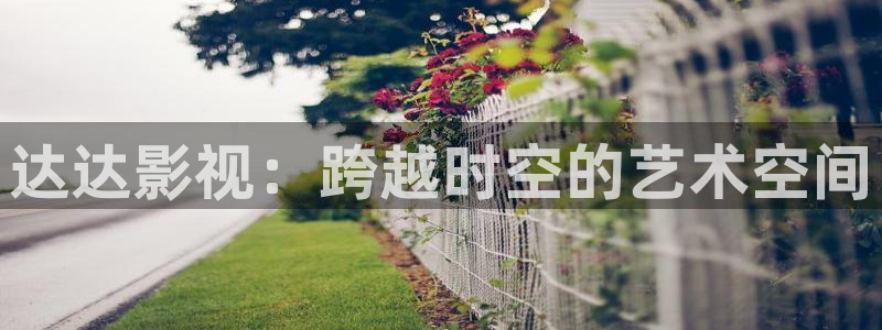 宅男视频黄在线观看：达达影视：跨越时空的艺术空间