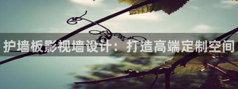深夜宅男视频在线播放：护墙板影视墙设计：打造高端定制空间