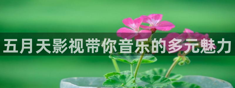 宅男视频网页版：五月天影视带你音乐的多元魅力