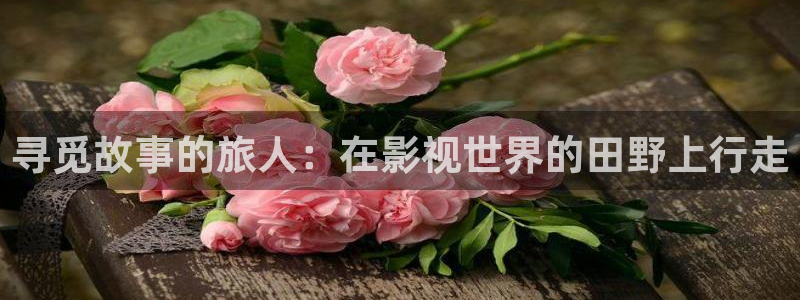 www宅男视频：寻觅故事的旅人：在影视世界的田野上行走