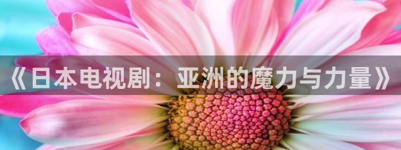 成人宅男视频在线观看：《日本电视剧：亚洲的魔力与力量》