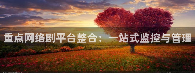 宅男视频在线观看污：重点网络剧平台整合：一站式监控与管理